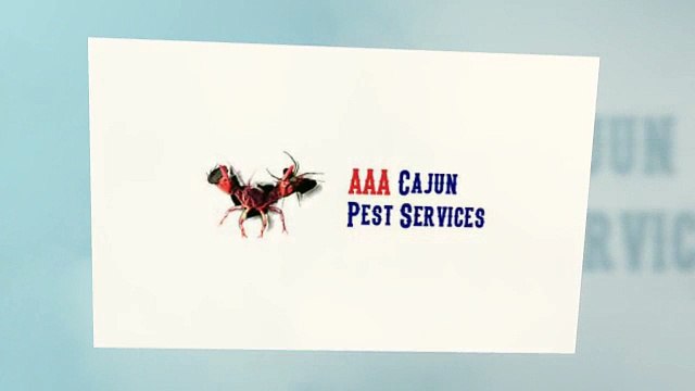 Commercial pest control services for your office