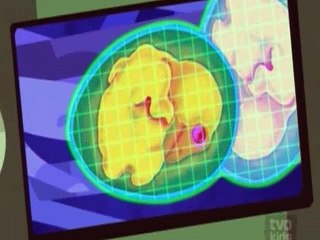 Wild Kratts S03E06.Dodo time travelling