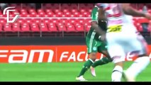 Dudu ● Palmeiras ● Dribles - Gols - Assistências ● 2016-17 (HD)