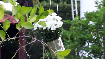 Decoração do Casamento - Tarcia & Edson - Mine Clipe