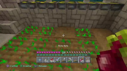 DonAleszandro's Minecraft : ««-Weg Absicherung zur Nether-Festung-»» (622)