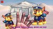 PAW PATROL Finger Family | Nursery Rhymes for Children | 3D Animation