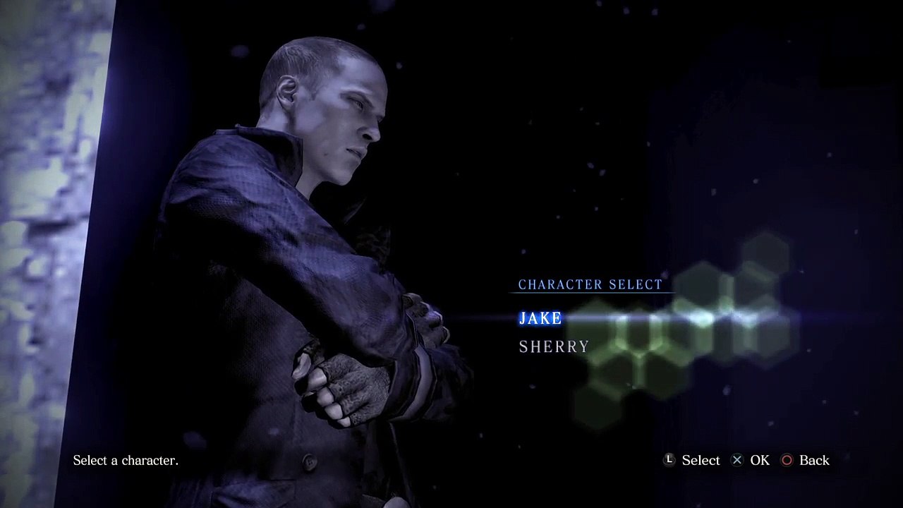 Professional Jake (2)