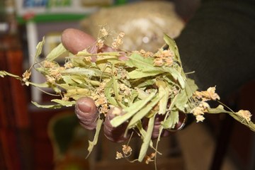 Ihlamur fiyatları altınla yarışıyor