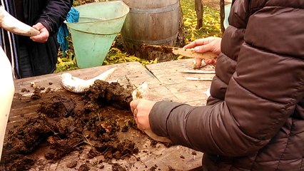 le stage "bouse de corne" part 2(on met la bouse dans les cornes)