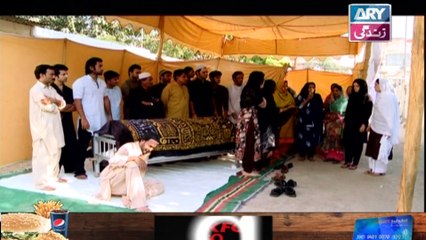 Sabz Qadam Episode 07 - on Ary Zindagi in High Quality 26th December 2016