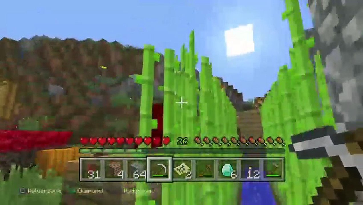 Minecraft (20)