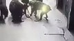 Une meute de chiens attaque un homme dans la rue
