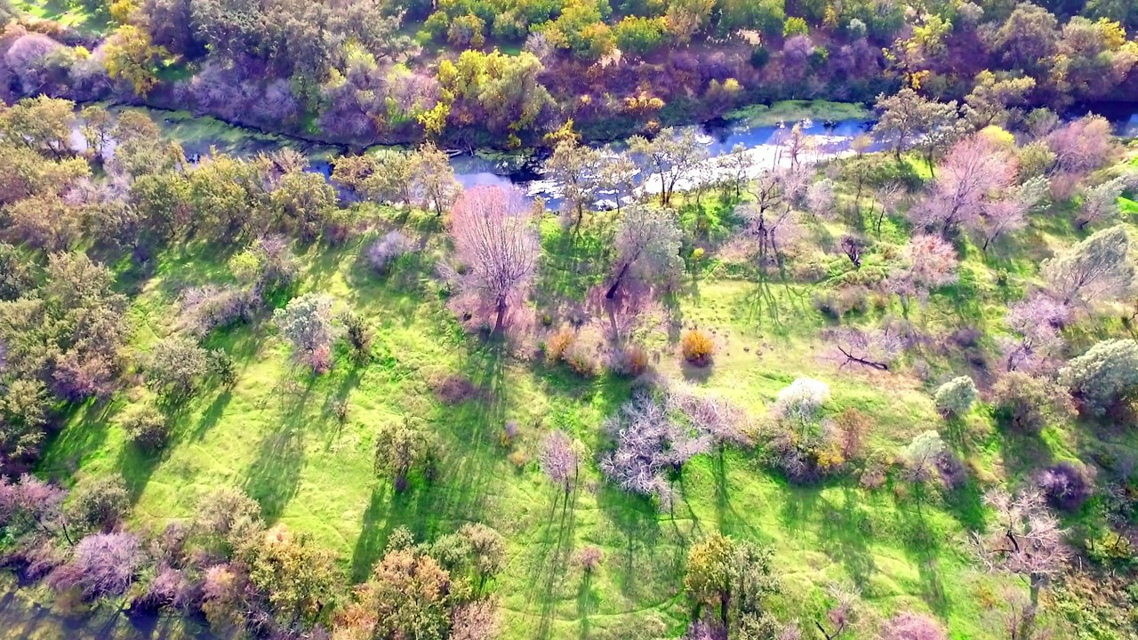 DJI Phantom Flight006 Can't Be contained  - Bubbles