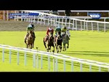 CHRISTMAS HURDLE, KEMPTON (UK), G1, 2016-12-26