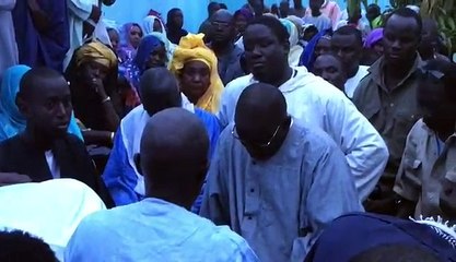 Récolte aux champs de Lagane avec Serigne Cheikh Saliou Mbacké et Samuel Sarr