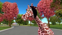 Finger Family Rhymes for Children Giraffe Cartoons | Finger Family Children Nursery Rhymes