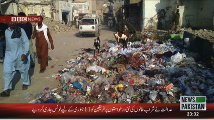 Chikungunya virus PKG