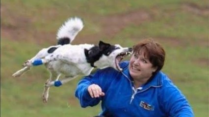 Very funny videos that make you laugh and cry Funniest Video Ever Dailymotion