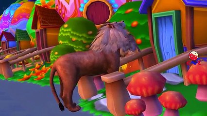 Lion Cartoon Singing Wee Willie Winkie | Finger Family Children Nursery Rhymes By Tiger Cartoons
