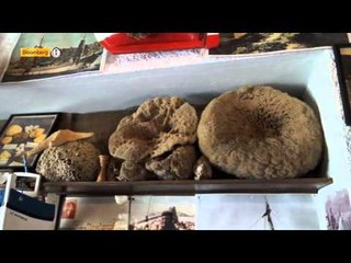 Ayhan Sicimoğlu ile Renkler - Kalimnos Adası Part 1 / 7 Aralık