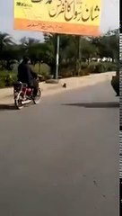 Whatsapp Funny Video - Awesome fat guy driving small bike -Thug Life-P__RTtJ62TU