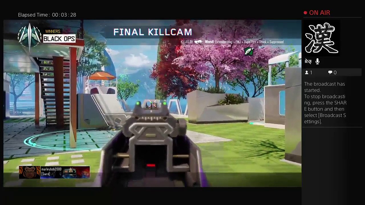 Bo3 Gameplay #startingfromthebottom (2)