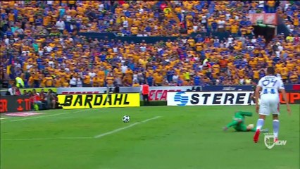 Los diez mejores zarpazos de los Tigres campeones del Apertura 2016