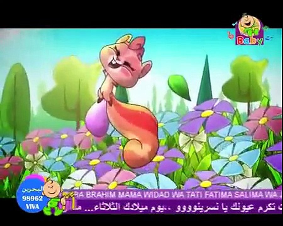طيور الجنة بيبي سنجوبة