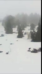 Çfarë është kjo krijesë që u pa në verilindje të Spanjës?