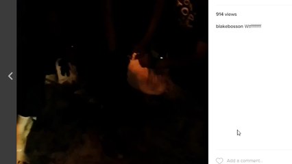 Disgusting Cow Being Sacrificed