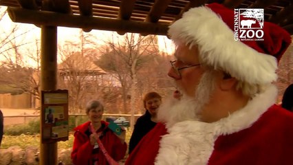 Santa Brings Gifts to the Animals
