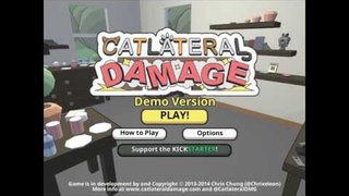 John Playing Catlateral Damage!