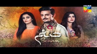 Sanam Episode 17 Promo HD HUM TV Drama 26 December 2016