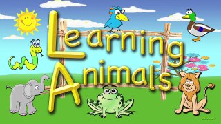 Identify Animals - For Toddlers and Preschool Children