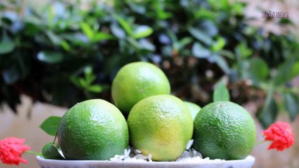 Đặt 3 quả chanh cạnh giường ngủ điều kỳ diệu sẽ xảy ra