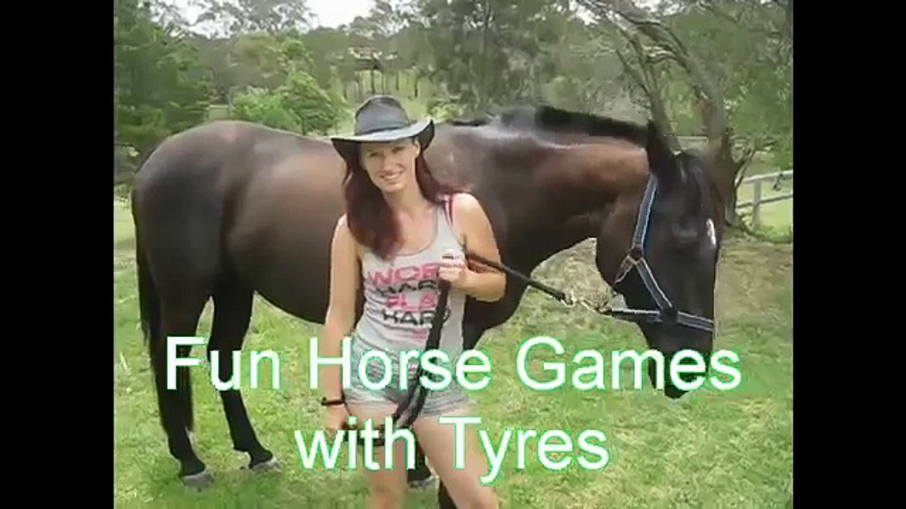 Great Horse Games (Trick Training & Fun)