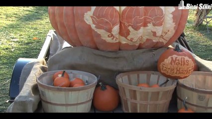 Cadılar Bayramı Hakkında Bilinmeyenler | Bilgi Şehri