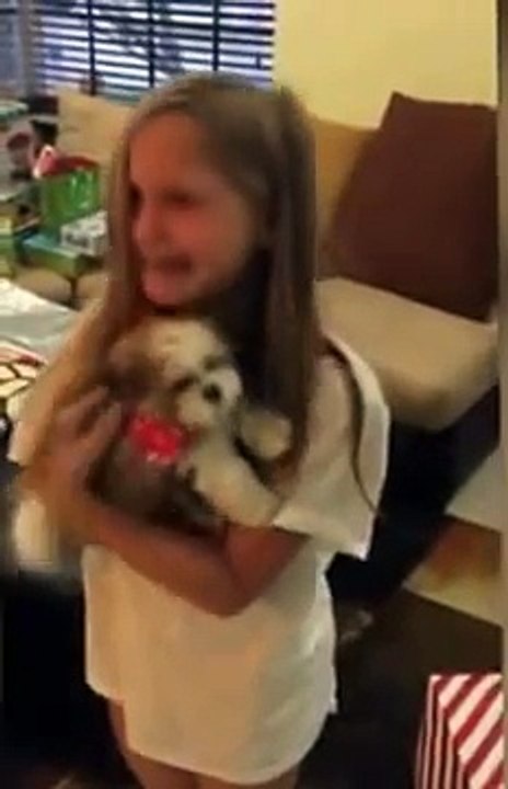 Puppy Surprise Compilation four