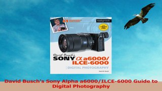 David Buschs Sony Alpha a6000ILCE6000 Guide to Digital Photography