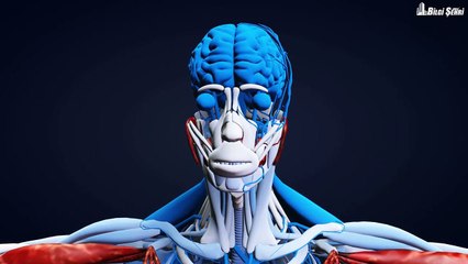 Magandalar | Geçmişin İntikamı Belgeseli | Bilgi Şehri