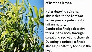 amazing benefits bamboo