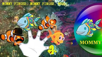 Fish Finger Family Song I Fish Finger Family Nursery Rhyme