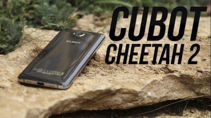 Cubot Cheetah 2. Красивый Китайский флагман по бюджетной цене. ПОЛНЫЙ ВИДЕО ОБЗОР!
