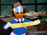 DONALD DUCK CHIP and DALE - ALL CARTOONS full Episodes WALT DISNEY  PART 2