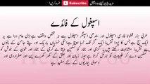 health and tips new 2016 اسپغول کے حیرت انگیز فوائد