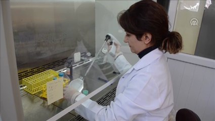 Kanser hücrelerini yok eden 3 bileşik buldu