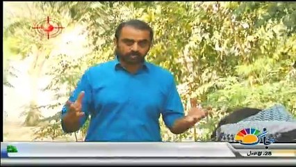 Hadisa - 27th December 2016