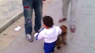 A Kids Fighting with Monkey-Amazing Video