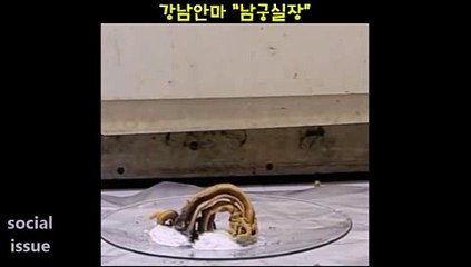 힐러안마 010.4373.1910 남궁실장