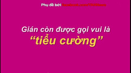 Gián là con vật “siêu cấp vô địch” như thế nào bạn biết không