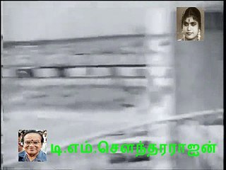 legand tms song 255