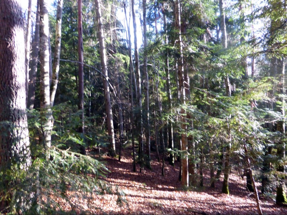 Balade autour du col de Perrucel