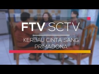 FTV SCTV  - Kerbau Cinta Sang Primadona