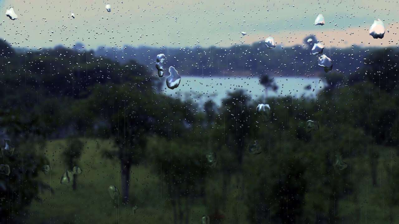 ASMR Tropical Rain for Studying